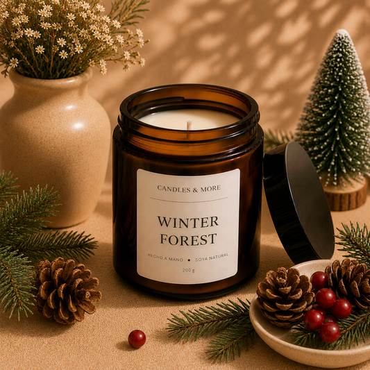 Winter Forest